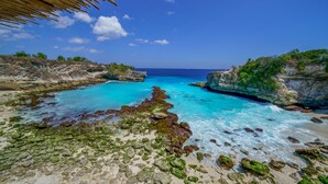 Un paysage côtier caractérisé par des eaux bleues et limpides, un terrain rocheux et une végétation luxuriante.