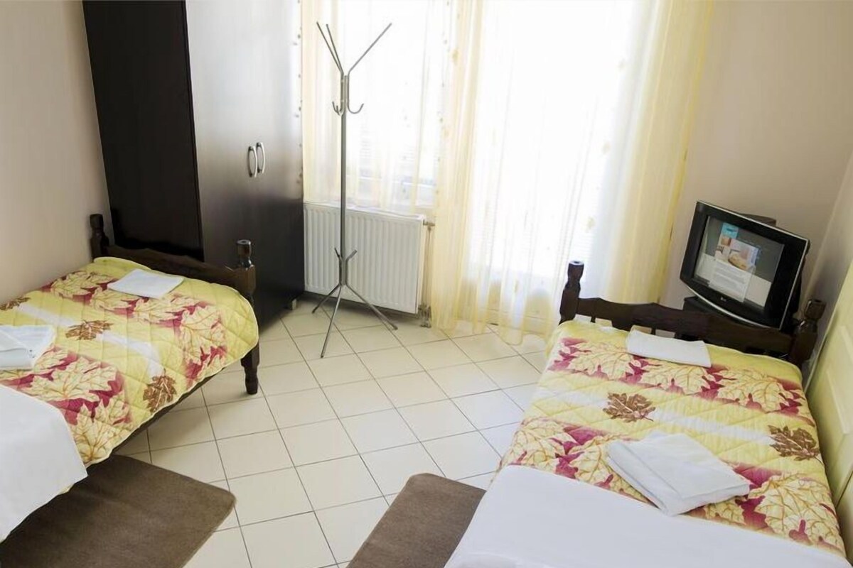 Une chambre d’hôtel avec deux lits, une télévision et un radiateur.