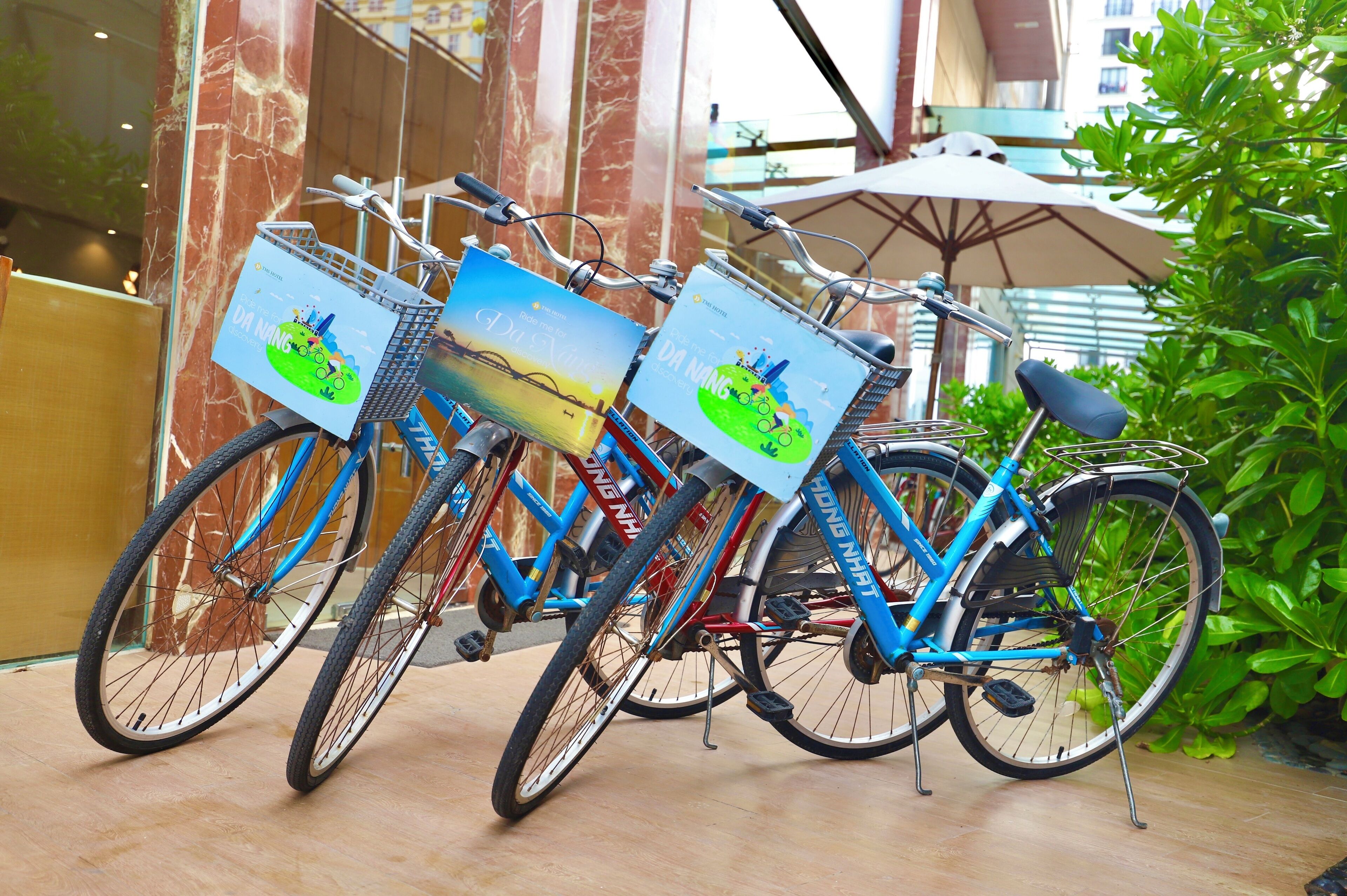 Three bicycles with baskets, each with a different advertisement, parked in an indoor area with a marble wall and greenery in the background.