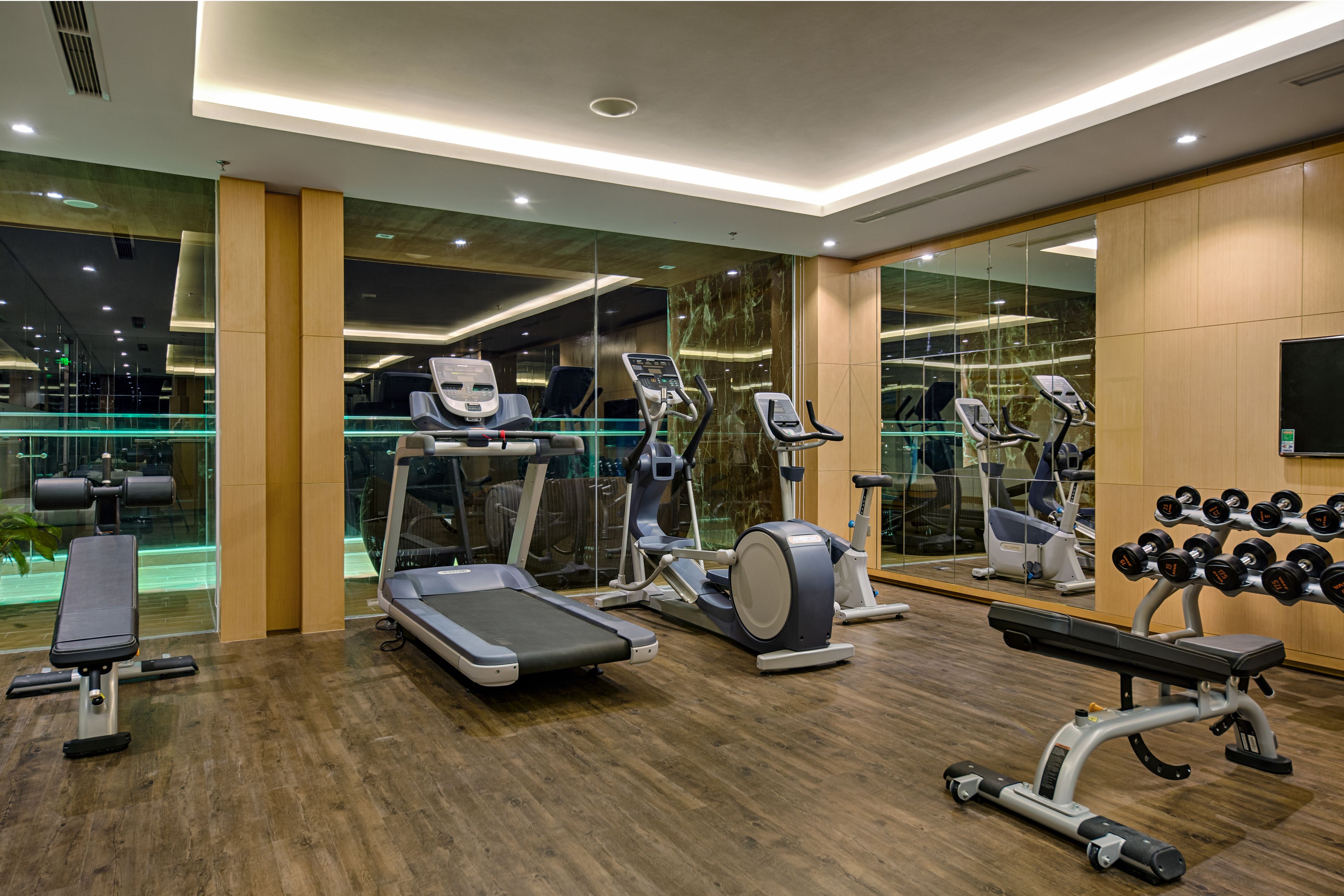 Un gimnasio moderno con cintas de correr, elípticas, un banco y mancuernas.