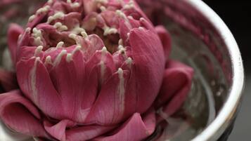 A close-up of a pink flower in a bowl.