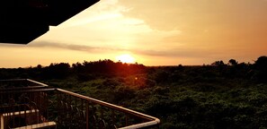 Vista dalla camera
