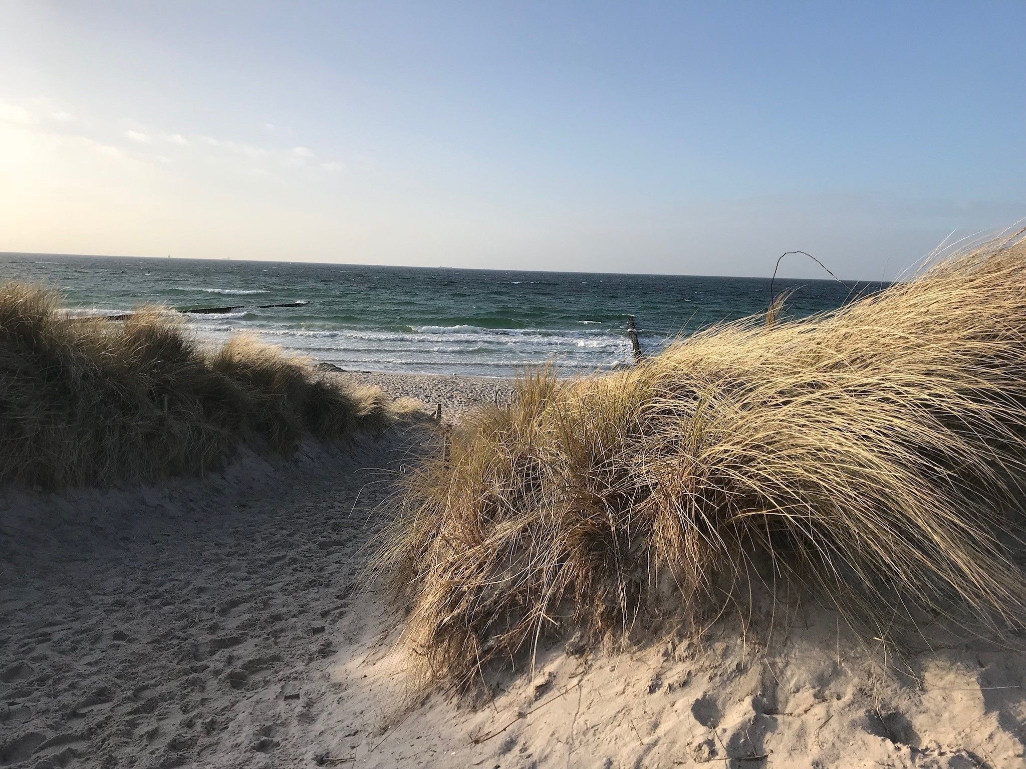 White sand, 2 beach bars