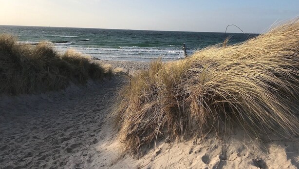 A beach with sand and grass dunes. - Ferienwohnung Zweisamkeit (Gelbensande)