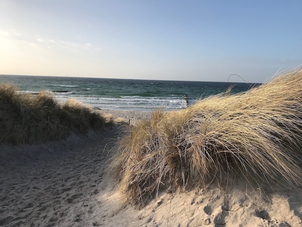 Weißer Sandstrand, 2 Strandbars