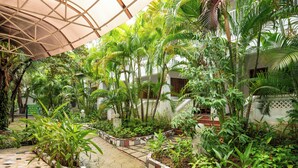 A lush indoor garden with a variety of tropical plants, a tiled walkway, and a covered area with a geometric roof structure. - Palma Resort Phu Quoc, Trademark Collection by Wyndham (Phu Quoc)
