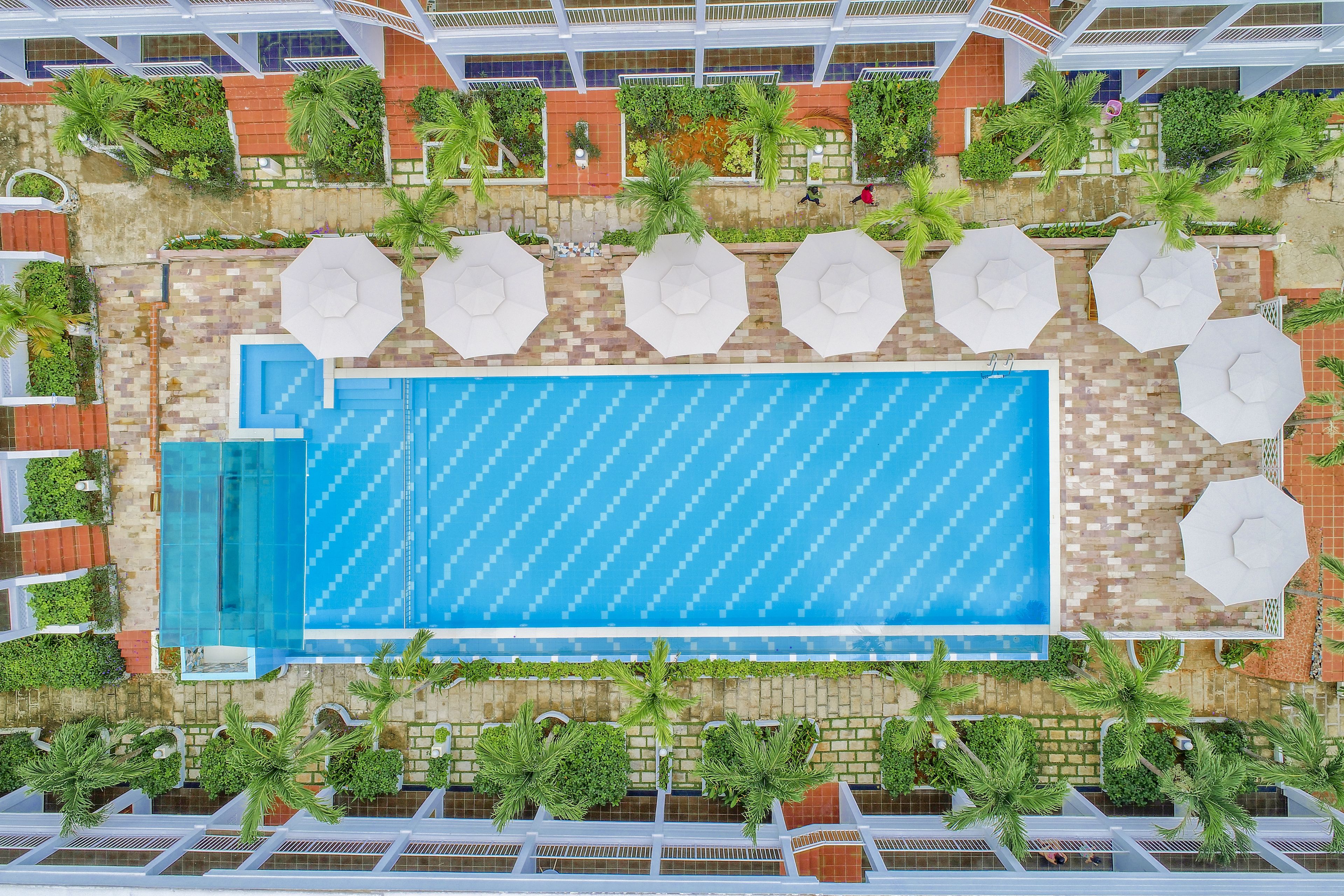 An aerial view of a rooftop pool area with a blue pool, surrounded by palm trees and white umbrellas.