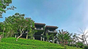 Un edificio moderno con varios balcones, rodeado de exuberante vegetación y árboles.