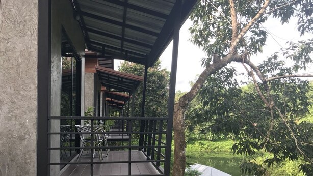 Una terraza de madera con barandas metálicas da vista a un río, rodeada de abundante vegetación.