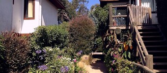 Cabaña Flores 6 Personas Maitencillo