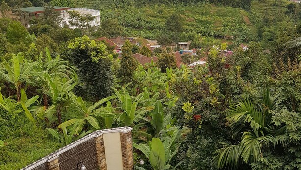 A pool area with stone walls and potted plants, surrounded by lush greenery and a view of a town and mountains in the distance. - Hotel Scarlet Bukit Pakar (Bandung)