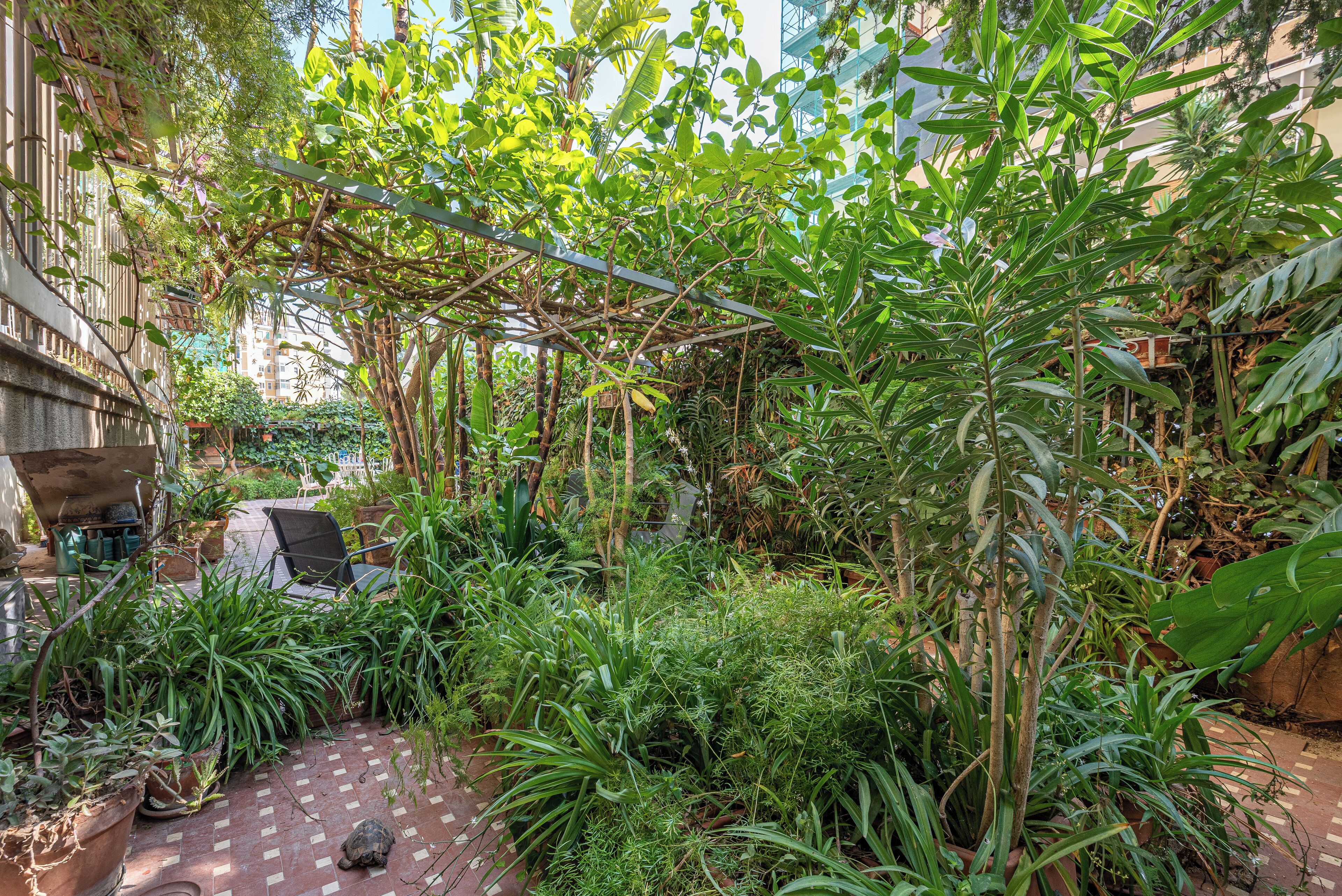 Apartment, 3 Bedrooms | Terrace/patio