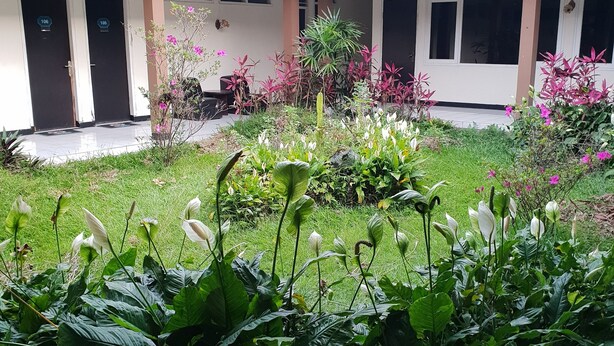 A courtyard with a tiled roof, two doors labeled 106 and 105, and a variety of plants and flowers. - Hotel Cisarua Indah (Cisarua)