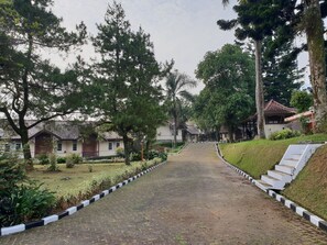 Vistas desde el alojamiento