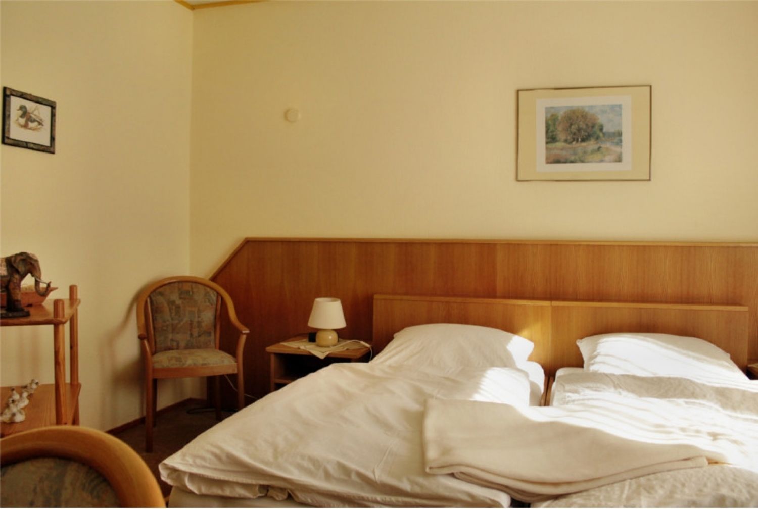 Habitación de hotel con cabecera de madera, una cama individual con sábanas blancas, una mesita de noche con lámpara, una silla y un cuadro en la pared.
