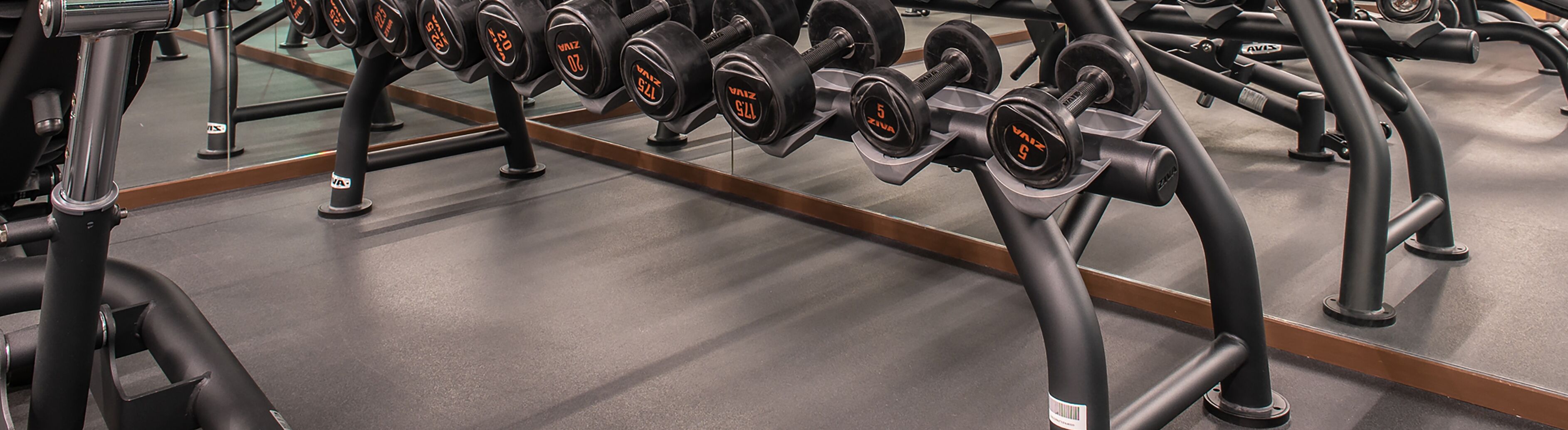 Eine Reihe von Gewichtstrainingsgeräten mit verstellbaren Kurzhanteln in einem Fitnessstudio.