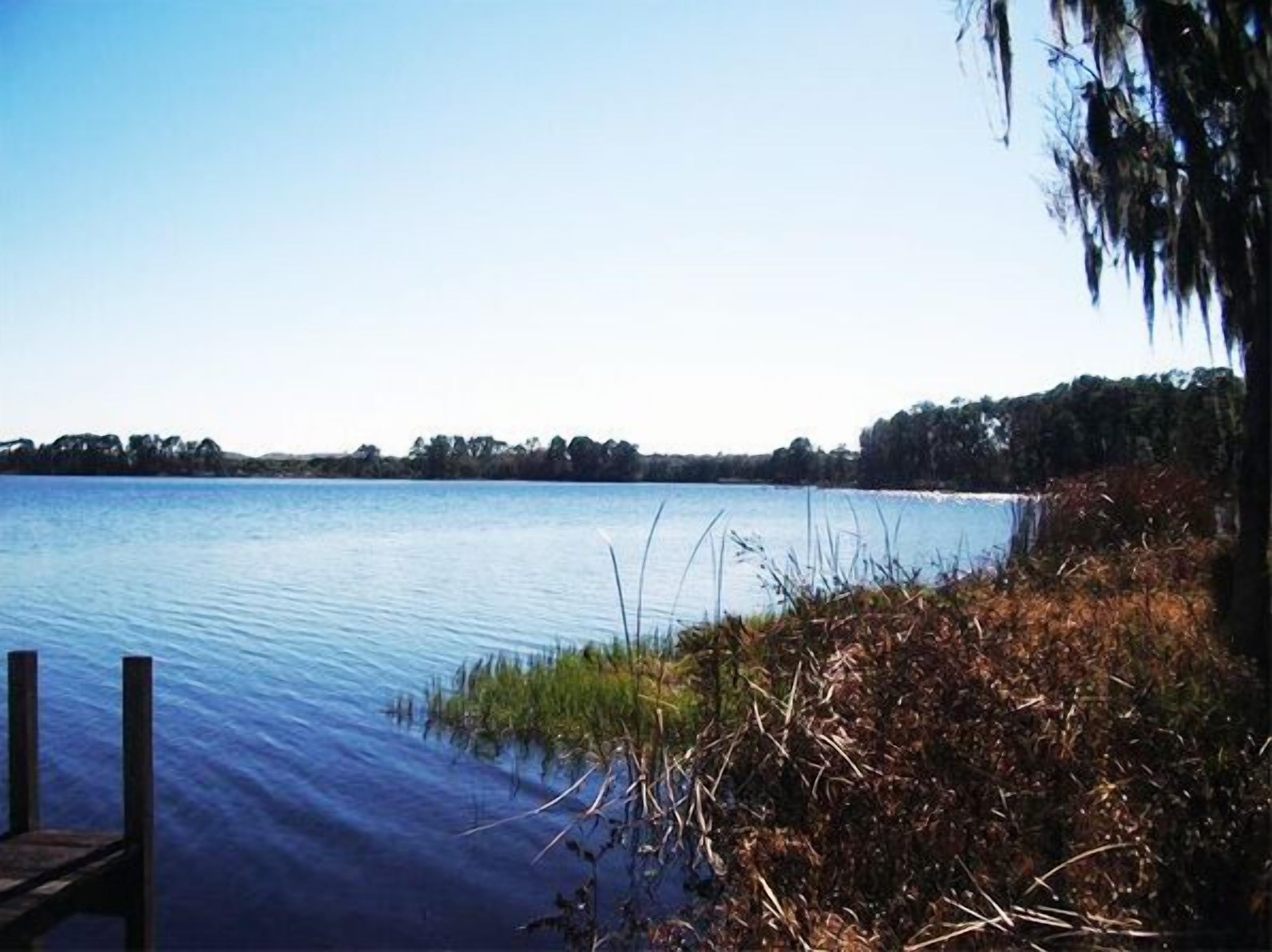 A calm lake with a dock extending into the water, surrounded by trees and vegetation.