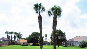 A well-maintained lawn with two palm trees and a clear sky.