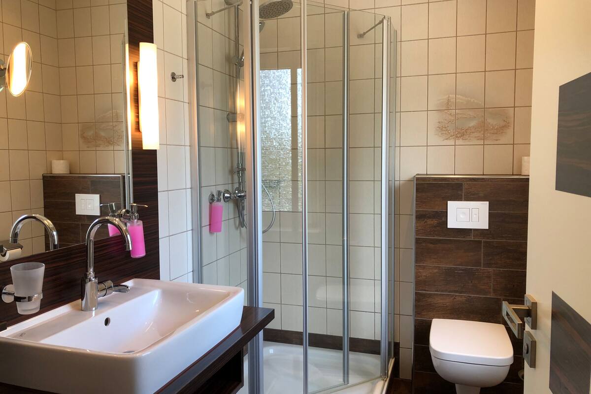 single room | bathroom | shower, hair dryer, towels