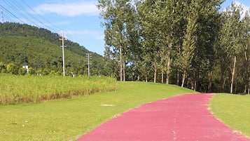 A red running track with green grass on either side, surrounded by trees and a hill in the background.