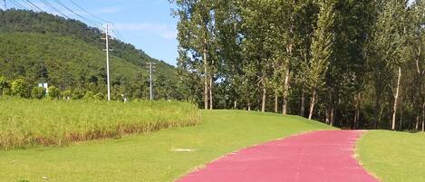 Une piste d’athlétisme rouge, bordée de chaque côté par de l’herbe verte, entourée d’arbres et avec une colline en arrière-plan.
