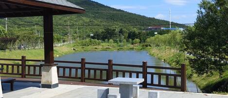 Lake view