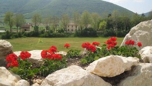 Un paysage comprenant une montagne, un champ herbeux et un bâtiment en arrière-plan.