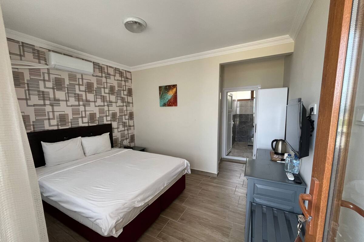 Une chambre d’hôtel comprenant un lit, un bureau avec une télévision, une douche et une salle de bain.