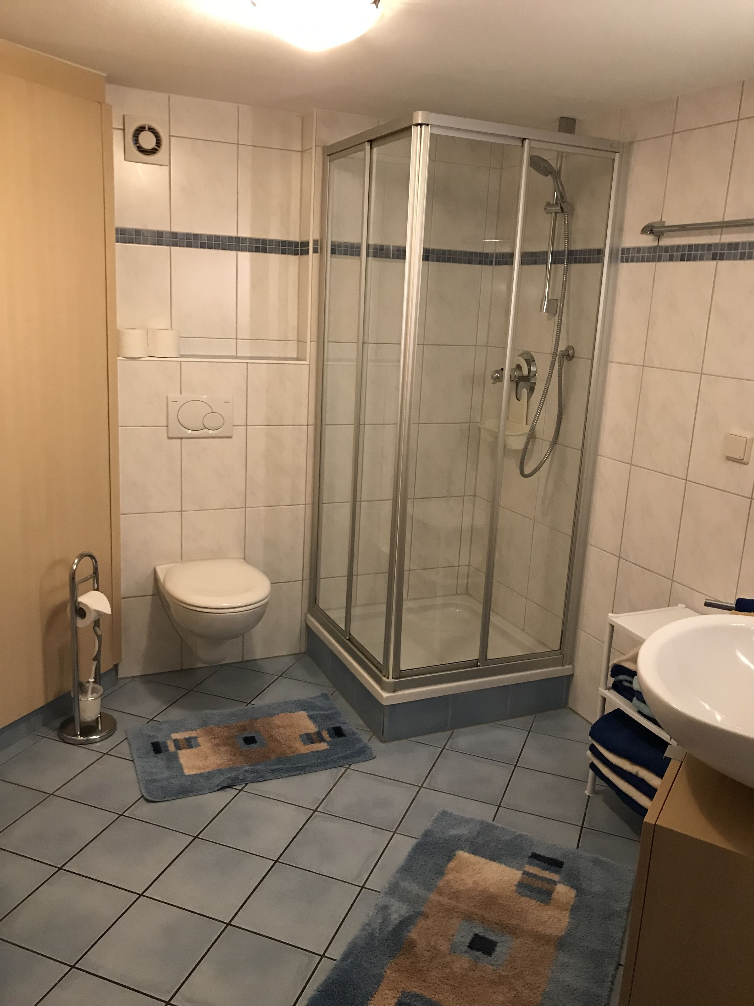 A bathroom with a glass-enclosed shower, a toilet, and a sink.