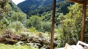 Unclassified image, 4 of 13, button - Quetzal Valley Cabins (Copey)