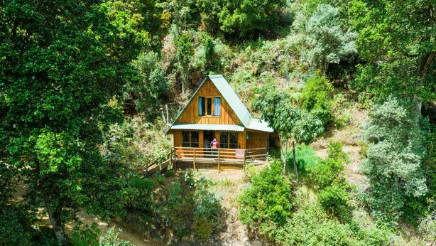 Unclassified image, 1 of 13, button - Quetzal Valley Cabins (Copey)