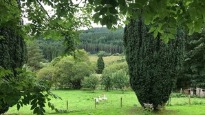 A lush green landscape with a fenced area, trees, and a distant view of a forested hill. - Byrness House (Newcastle-upon-Tyne)
