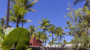 Un complexe hôtelier tropical avec un ciel d’un bleu éclatant, des palmiers et un bâtiment rouge.