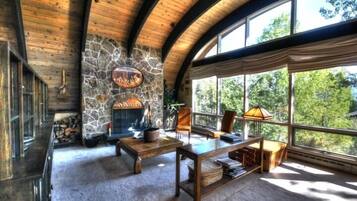 TV, fireplace, video-game console, DVD player