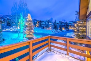 View from property - Elk Run 3 (Steamboat Springs)