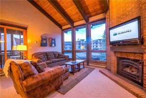 平面電視、壁爐、書籍