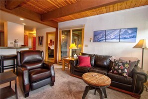 TV, fireplace - Lodge E 103 (Steamboat Springs)