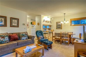 TV, fireplace - Pines E101 (Steamboat Springs)