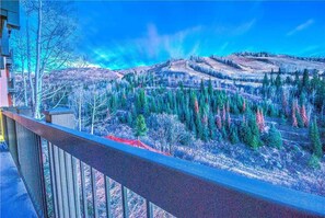 View from property - Storm Meadows B 213 (Steamboat Springs)