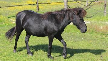 Pemandangan dari properti