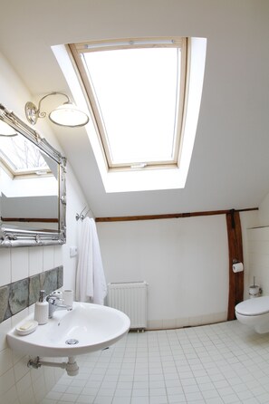 A modern bathroom with a skylight, a large sink, a toilet, and a mirror. - BioRezydencja (Swieradow-Zdroj)