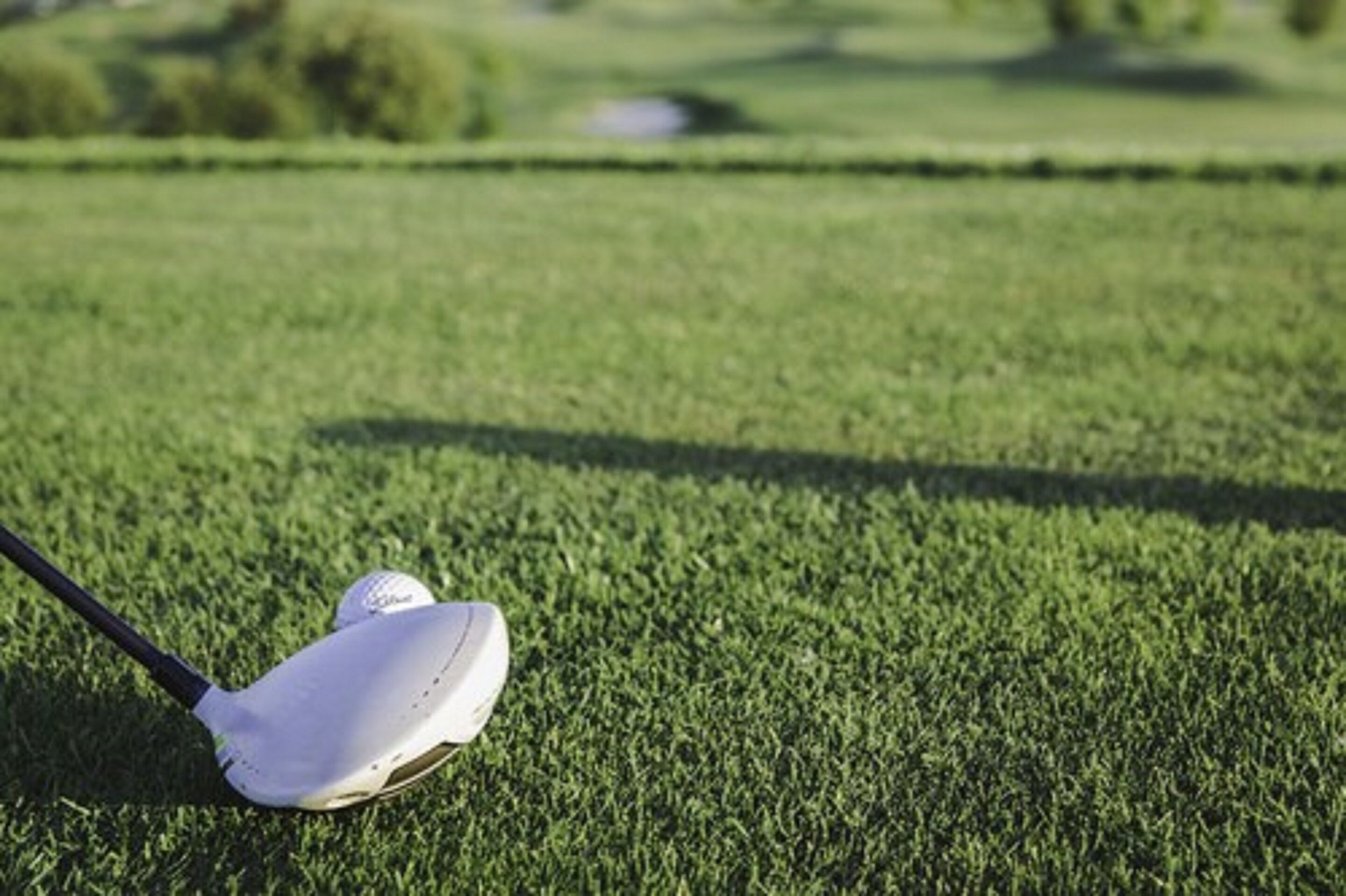 Photo - Aparthotel Rakowicka Residence