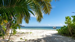 A beach with clear blue water, a sandy shore, and palm trees. - Bliss Hotel Praslin (Praslin Island)