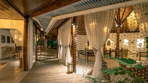 A wooden deck with a covered area, furnished with chairs and tables, and surrounded by large plants. - Bliss Hotel Praslin (Praslin Island)
