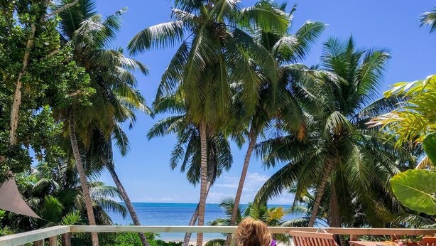 A person relaxing by a pool with a view of the ocean and palm trees. - Bliss Hotel Praslin (Praslin Island)
