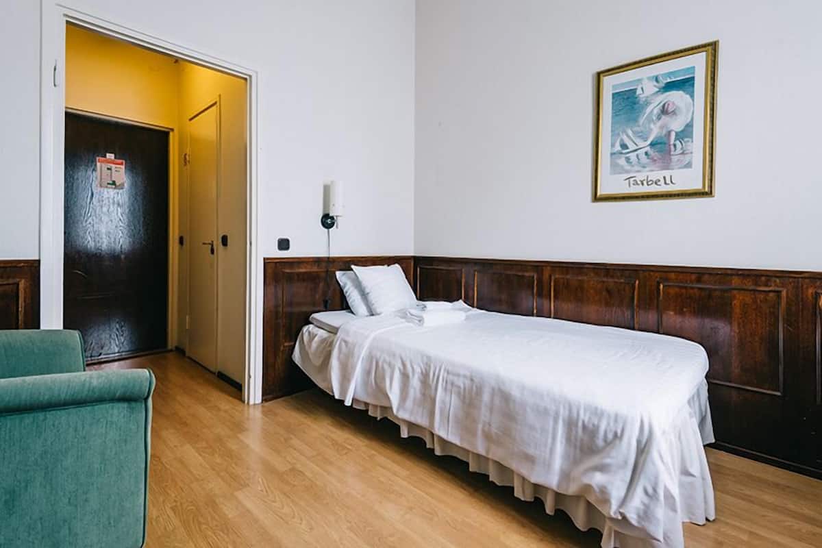 economy single room, 1 single bed, non smoking | desk, soundproofing, free wifi, bed sheets