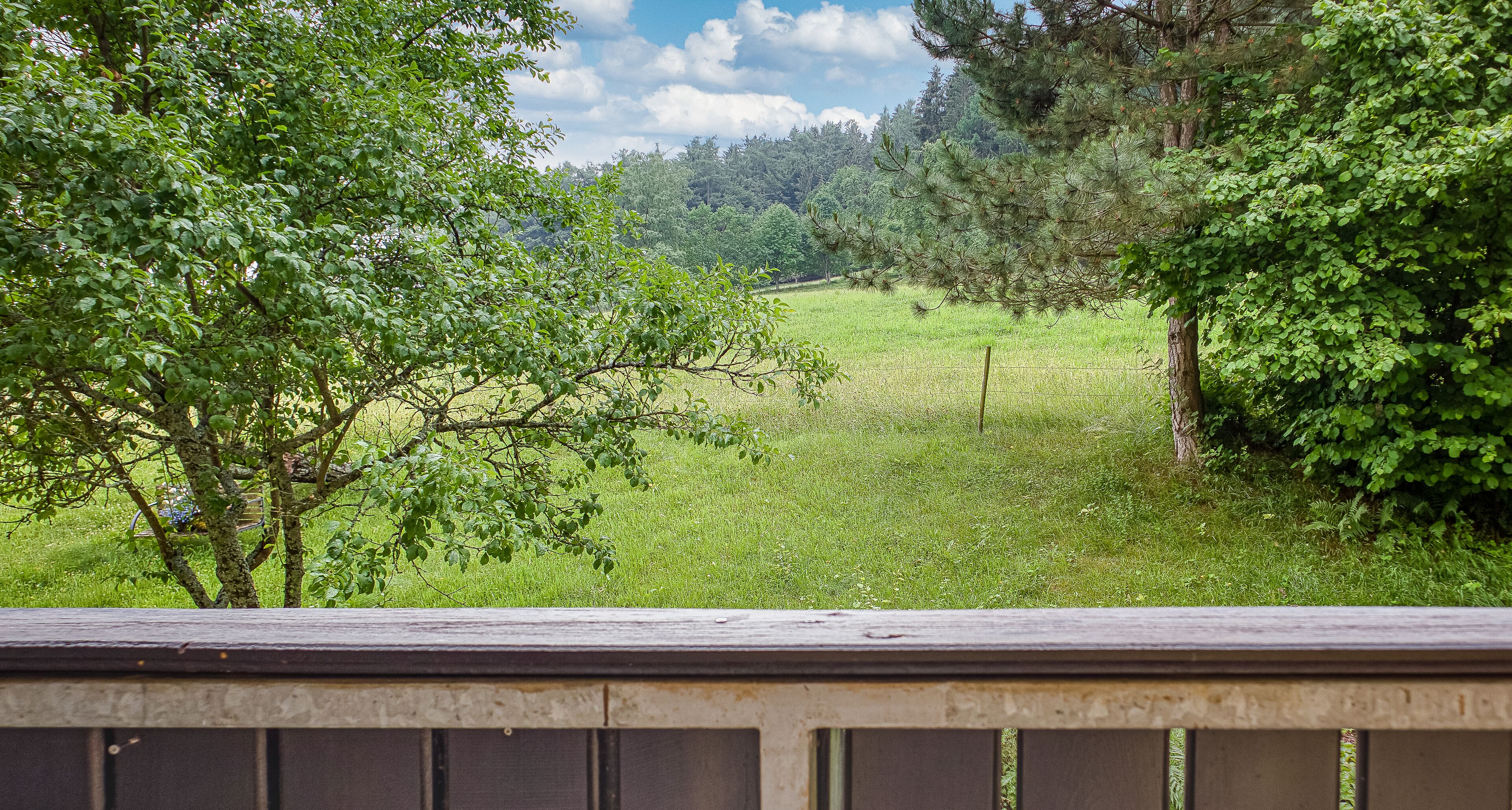 A grassy field with trees and a wooden fence.