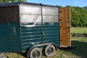 Zelt, 1 King-Bett, Nichtraucher | Badezimmer | Dusche, kostenlose Toilettenartikel, Handtücher