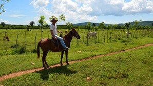 Une personne à cheval sur un chemin de terre, dans un champ herbeux, avec une clôture et des arbres en arrière-plan.