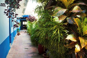 Jardim